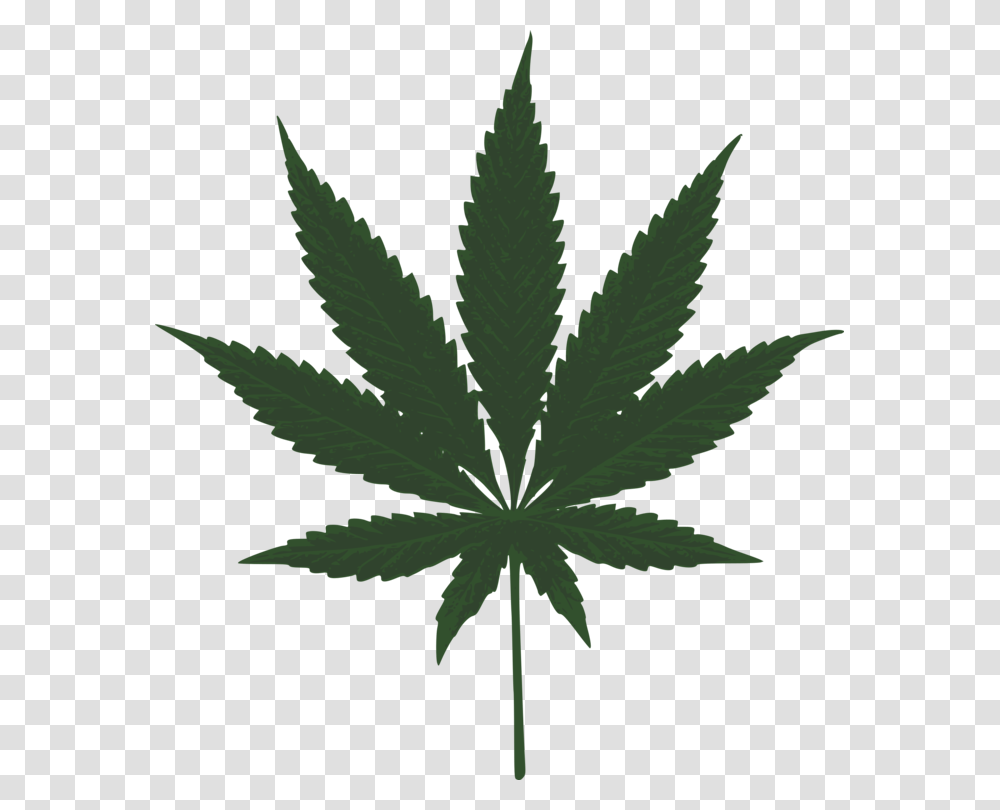 Cannabis Sativa Bong Medical Cannabis Leaf, Plant, Weed, Hemp Transparent Png