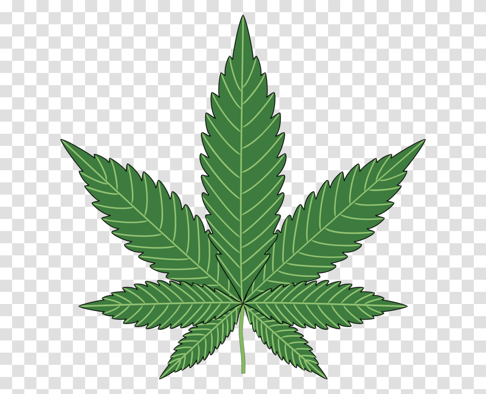 Cannabis Sativa Drug Medical Cannabis Cannabis Smoking Free, Plant, Leaf, Weed, Bird Transparent Png