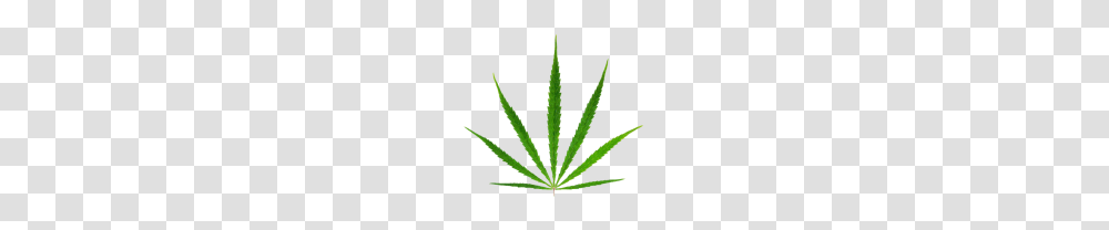 Cannabis Weed Leaf Free Images, Plant, Flower, Blossom, Hemp Transparent Png
