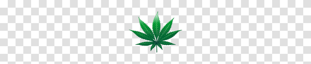 Cannabis Weed Leaf Free Images, Plant, Hemp Transparent Png