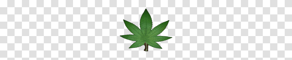 Cannabis Weed Leaf Free Images, Plant, Tree, Hemp Transparent Png