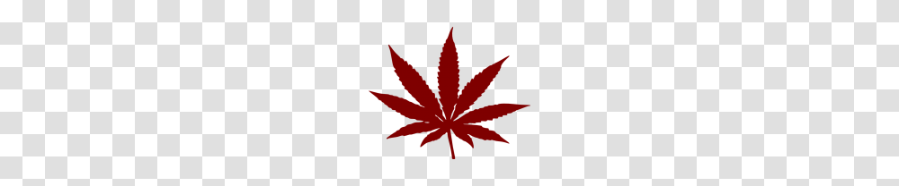 Cannabis Weed Leaf Free Images, Plant, Tree, Maple Leaf, Poster Transparent Png