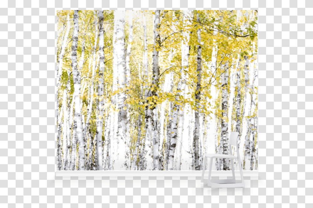 Canoe Birch, Tree, Plant, Collage, Poster Transparent Png