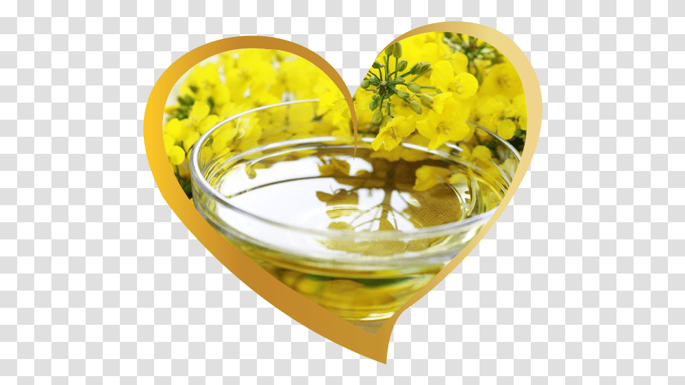 Canola Cooking Oil Difference Between Mustard Plant And Rape Seed Plant, Cocktail, Alcohol, Beverage, Drink Transparent Png