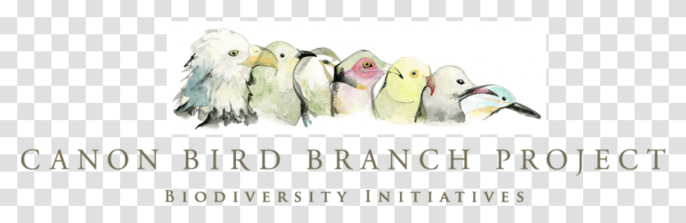 Canon Bird Branch Project Lovebird, Animal, Chicken, Penguin Transparent Png