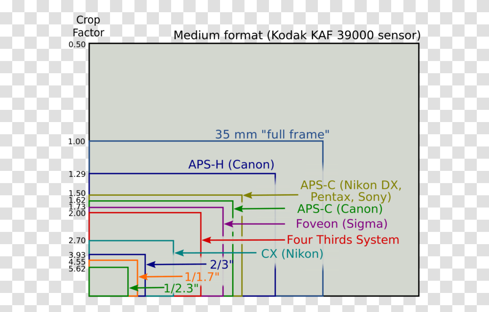 Sensor size. APS-C Canon Размеры. CMOS-датчик типа 1.0. Матрица CMOS И APS-C. Матрица APS-C размер Никон 7100.