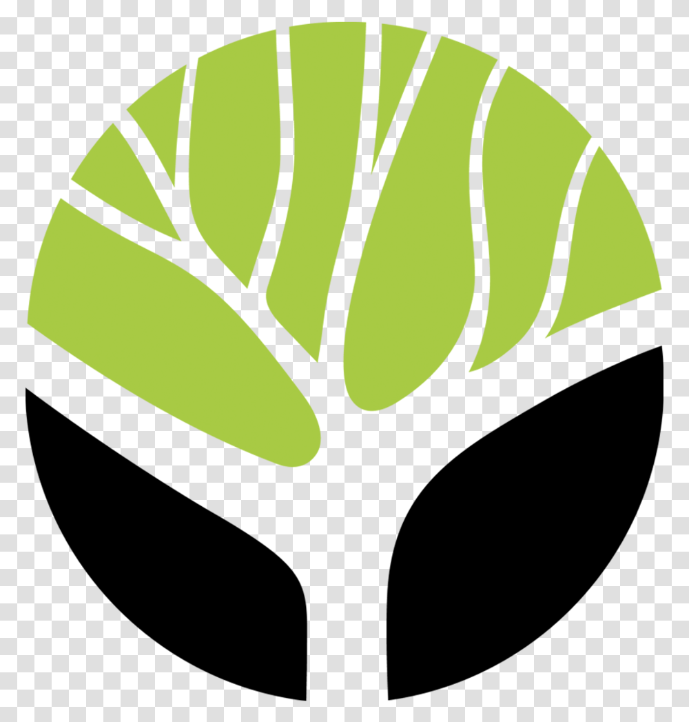 Canopy Care Tree Service, Tennis Ball, Sport, Sports, Tie Transparent Png