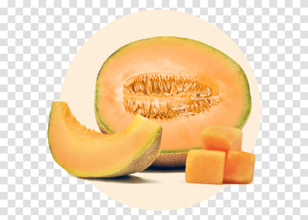 Cantaloup, Melon, Fruit, Plant, Food Transparent Png