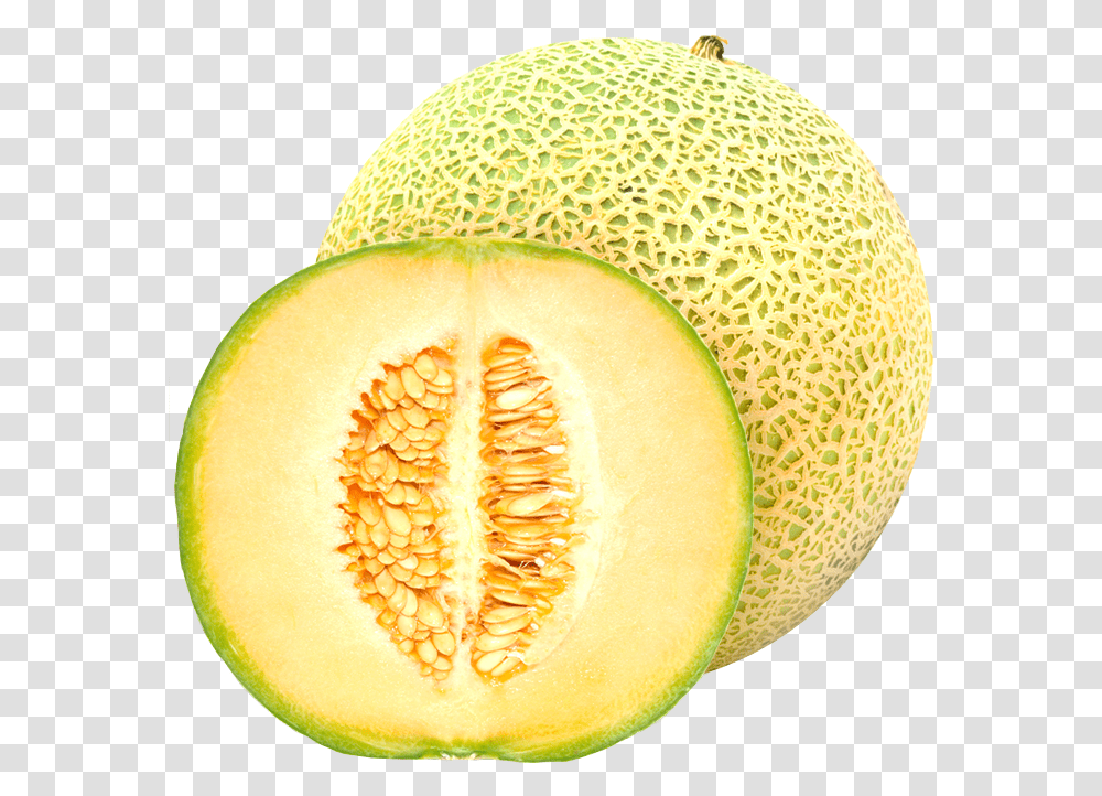 Cantaloupe Melon Fruit Concentrate Rock Melon, Plant, Food, Orange, Citrus Fruit Transparent Png