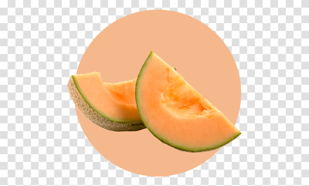 Cantaloupe, Melon, Fruit, Plant, Food Transparent Png