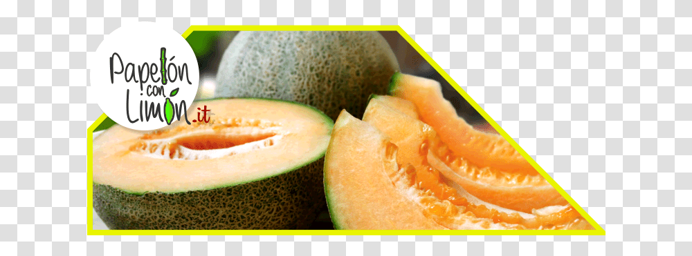 Cantaloupe Papelnconlimnit Rockmelon Fruit, Plant, Food, Vase, Jar Transparent Png