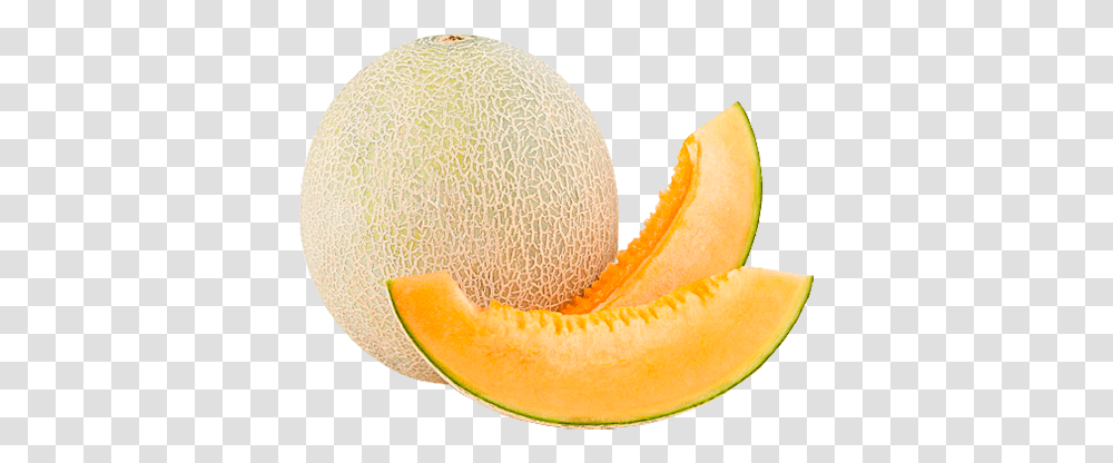 Cantaloupe Tpa Melon Fruit, Plant, Food Transparent Png