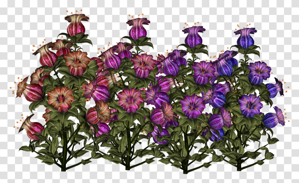 Canterbury Bells, Plant, Flower, Blossom, Purple Transparent Png