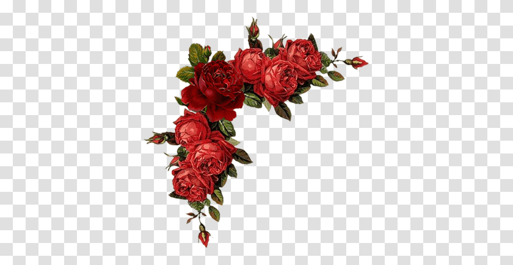 Cantos De Flores Do Vintage Em Red Flowers, Rose, Plant, Blossom, Graphics Transparent Png