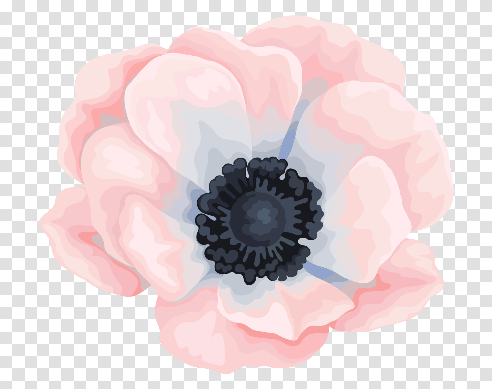 Canvas Painting Of Flowers Water Color, Plant, Anemone, Blossom, Petal Transparent Png
