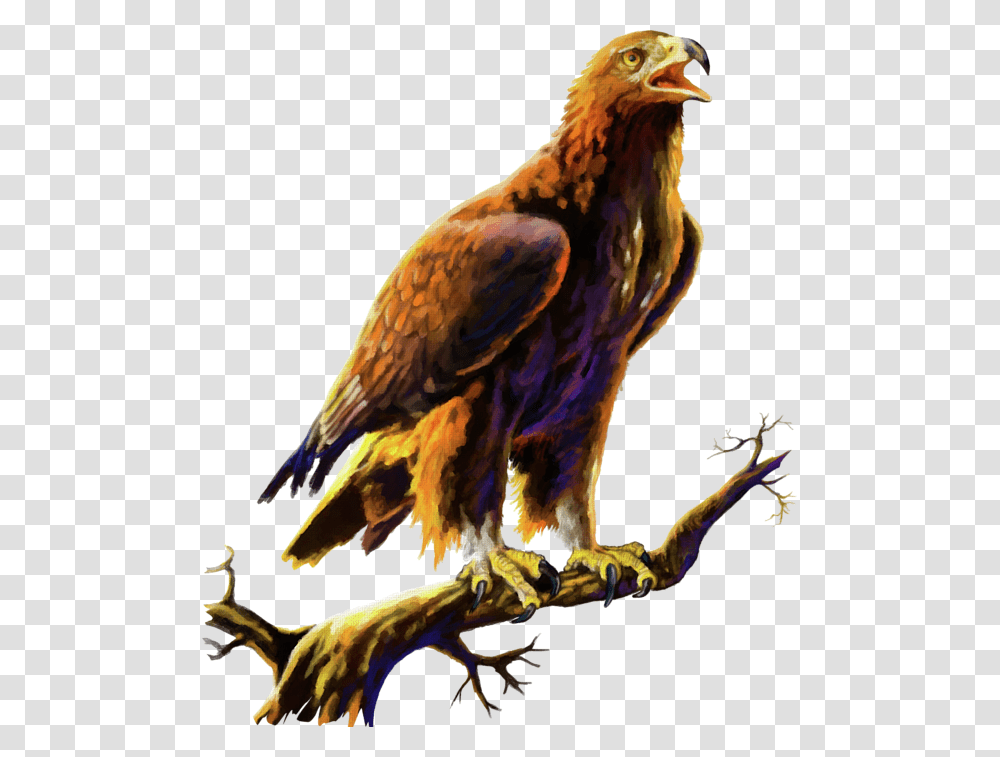 Canvas Paintings Of Golden Eagles, Bird, Animal, Hawk, Buzzard Transparent Png