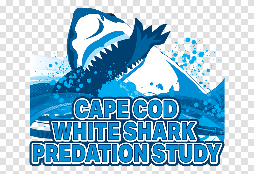 Cape Cod White Shark Predation Study Logo Limp Bizkit, Poster, Advertisement, Water, Outdoors Transparent Png