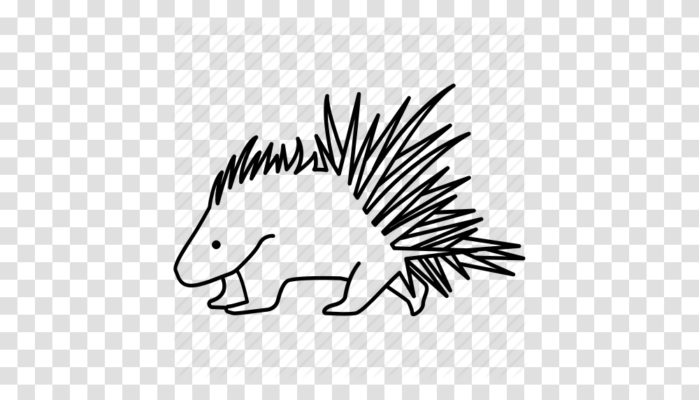 Cape Crested Mammal Porcupine Quills Rodent Spines Icon, Plant, Outdoors, Drawing Transparent Png