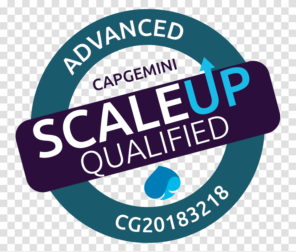 Capgemini Scale Up, Label, Sticker, Logo Transparent Png