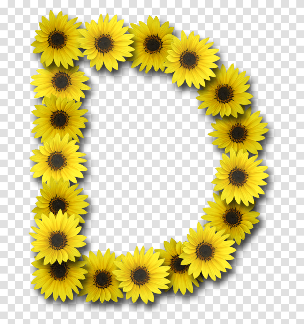 Capital Letter D Letter O With Sunflowers, Plant, Blossom, Rug Transparent Png
