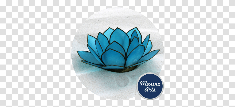 Capiz Lotus Flower Light Blue 100mm Marine Arts Nymphaea Nelumbo, Plant, Porcelain, Pottery, Paper Transparent Png