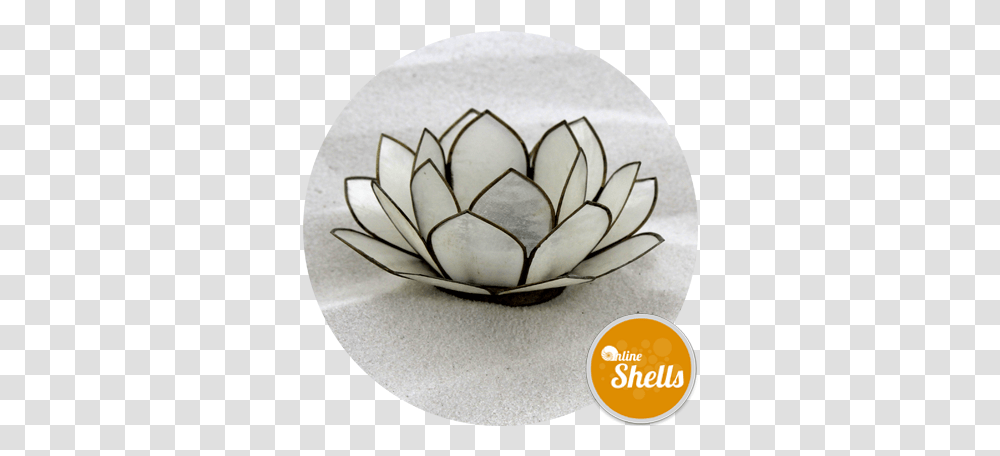 Capiz Shells Lotus Flower Natural White 100mm Online Decorative, Plant, Accessories, Accessory, Blossom Transparent Png
