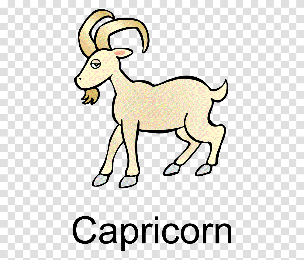 Capricorn Capricorn, Mammal, Animal, Antelope, Wildlife Transparent Png