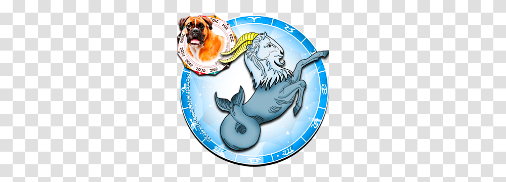 Capricorn Dog Horoscope The Temperate Capricorn Dog Personality, Mammal, Animal, Helmet, Canine Transparent Png