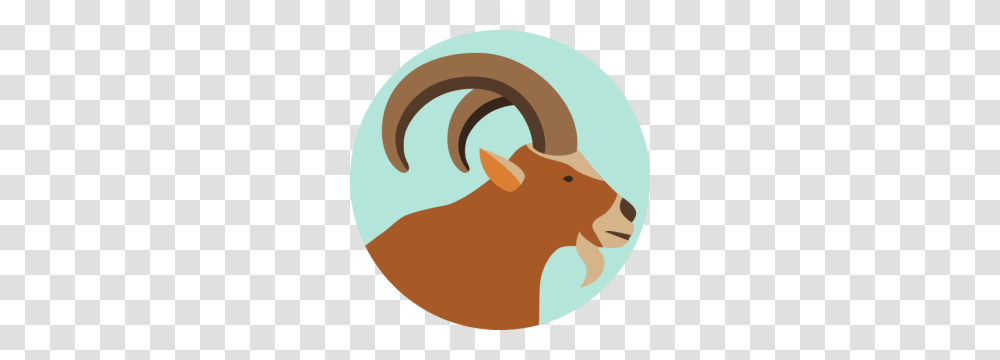 Capricorn, Zodiac, Animal, Mammal, Buffalo Transparent Png