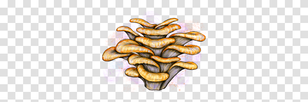 Caps By Cookies Sketch, Bread, Food, Art, Hot Dog Transparent Png