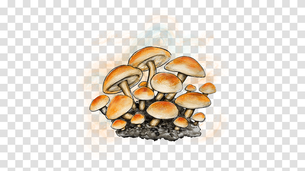 Caps By Cookies Wild Mushroom, Plant, Amanita, Agaric, Fungus Transparent Png