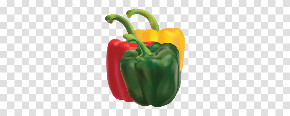 Capsicum Nature, Plant, Pepper, Vegetable Transparent Png