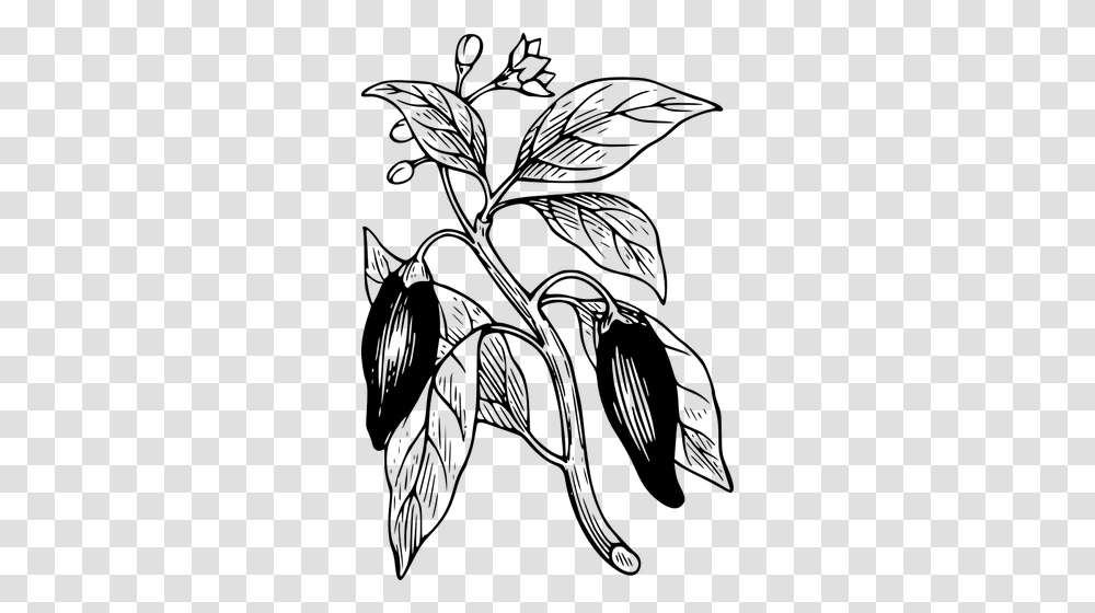 Capsicum With Its Leaves Vector Clip Art, Gray, World Of Warcraft Transparent Png