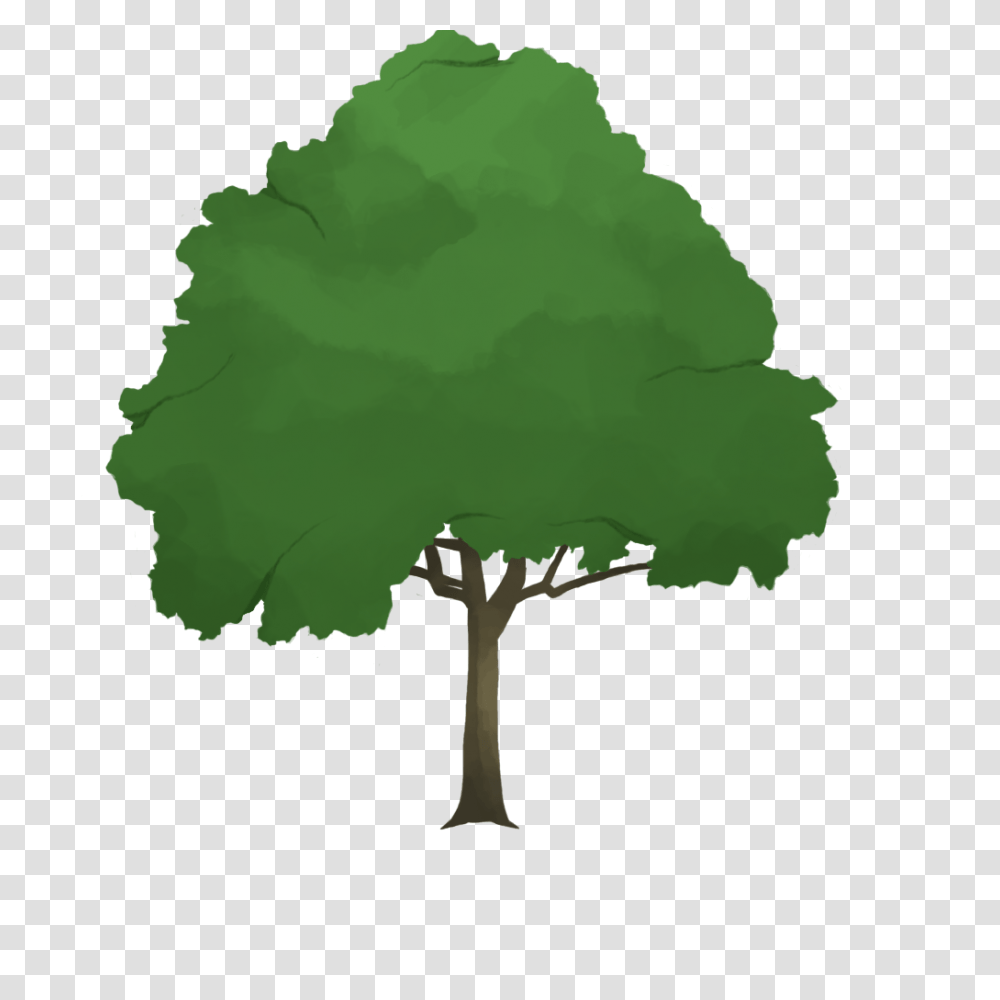 Capstone Week And Kdarlingart, Tree, Plant, Green, Tree Trunk Transparent Png