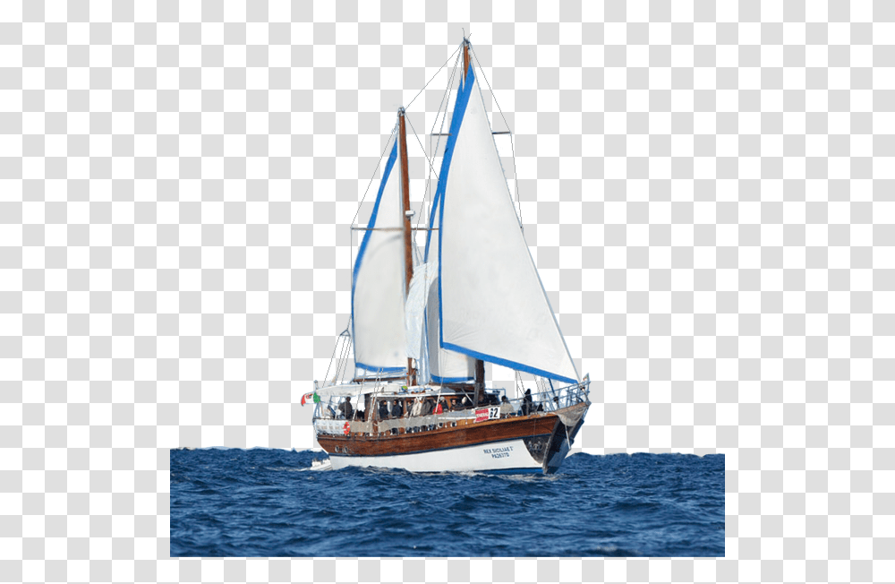 Captain Rex Sail, Boat, Vehicle, Transportation, Sailboat Transparent Png