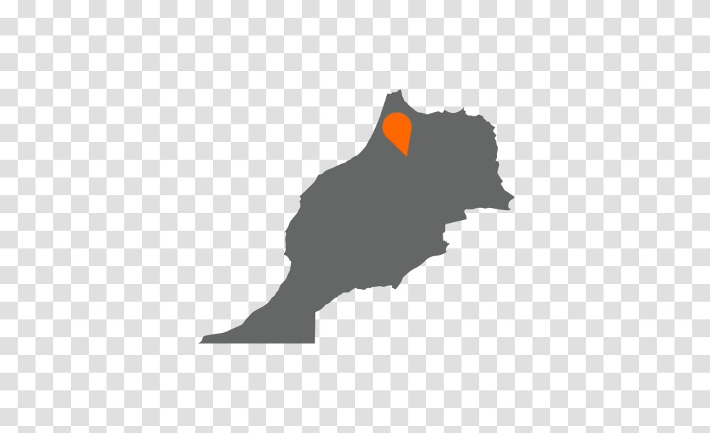 Car Hire In Fes, Blackbird, Animal, Agelaius, Silhouette Transparent Png