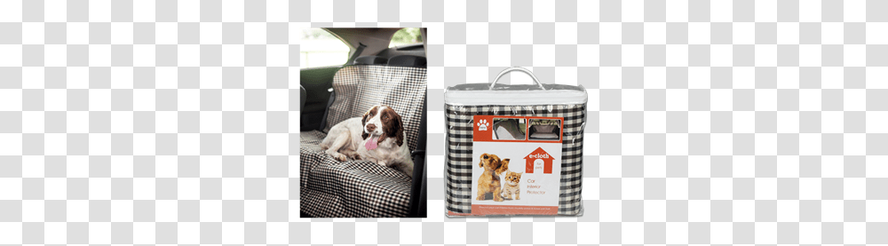 Car Interior Protector Picture Frame, Canine, Mammal, Animal, Pet Transparent Png