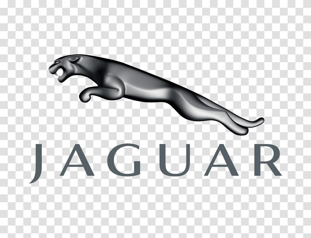 Car Logo, Animal, Blow Dryer, Appliance, Wildlife Transparent Png