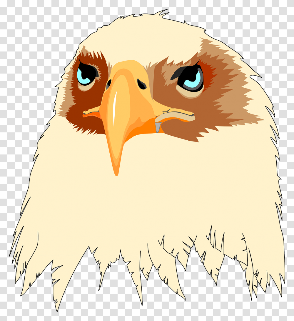 Cara De Aguila Animada, Eagle, Bird, Animal, Beak Transparent Png