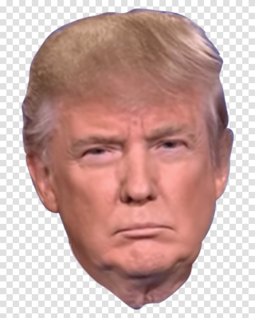 Cara De Trump, Face, Person, Human, Head Transparent Png