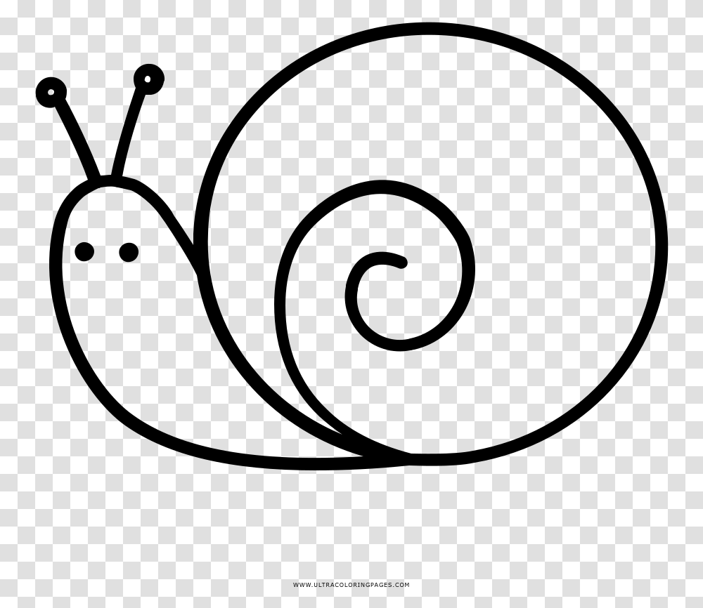Caracol Pgina Para Colorear Clipart Black And White Images Of Snail, Gray, World Of Warcraft Transparent Png