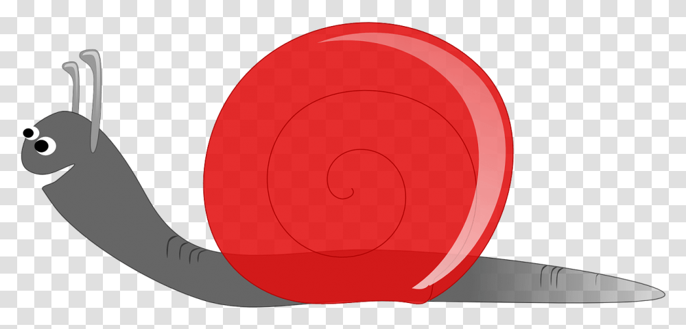 Caracol Snail Speed Low, Spiral, Coil, Bomb, Weapon Transparent Png