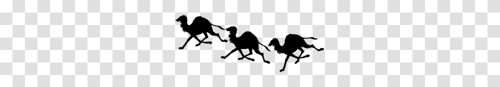 Caravan Of Camels Clip Art, Gray, World Of Warcraft Transparent Png