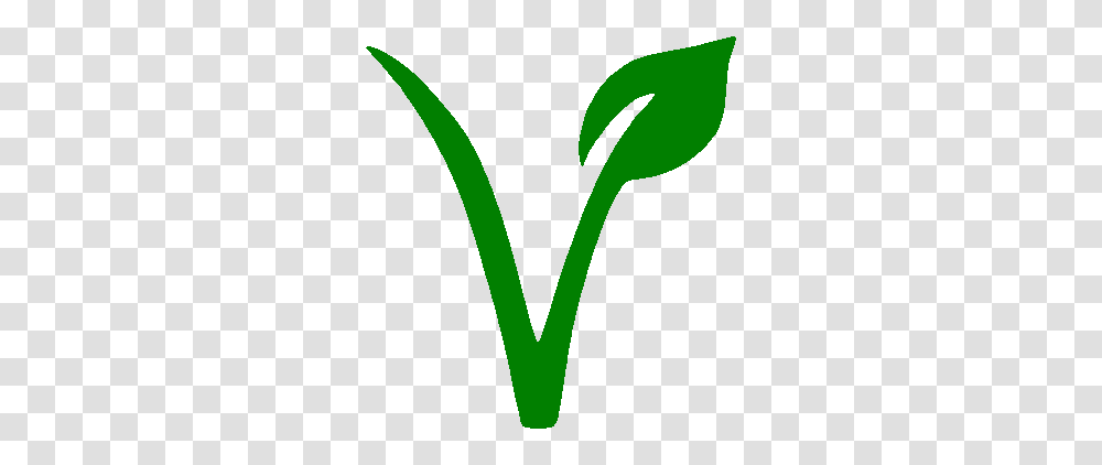 Carbon Based June, Plant, Produce, Food, Green Transparent Png