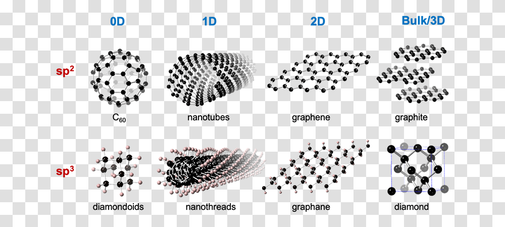 Carbon Nanomaterials Dimensionality And Hybridization Diamond Graphite Sp2, Sea Life, Animal, Invertebrate, Seashell Transparent Png