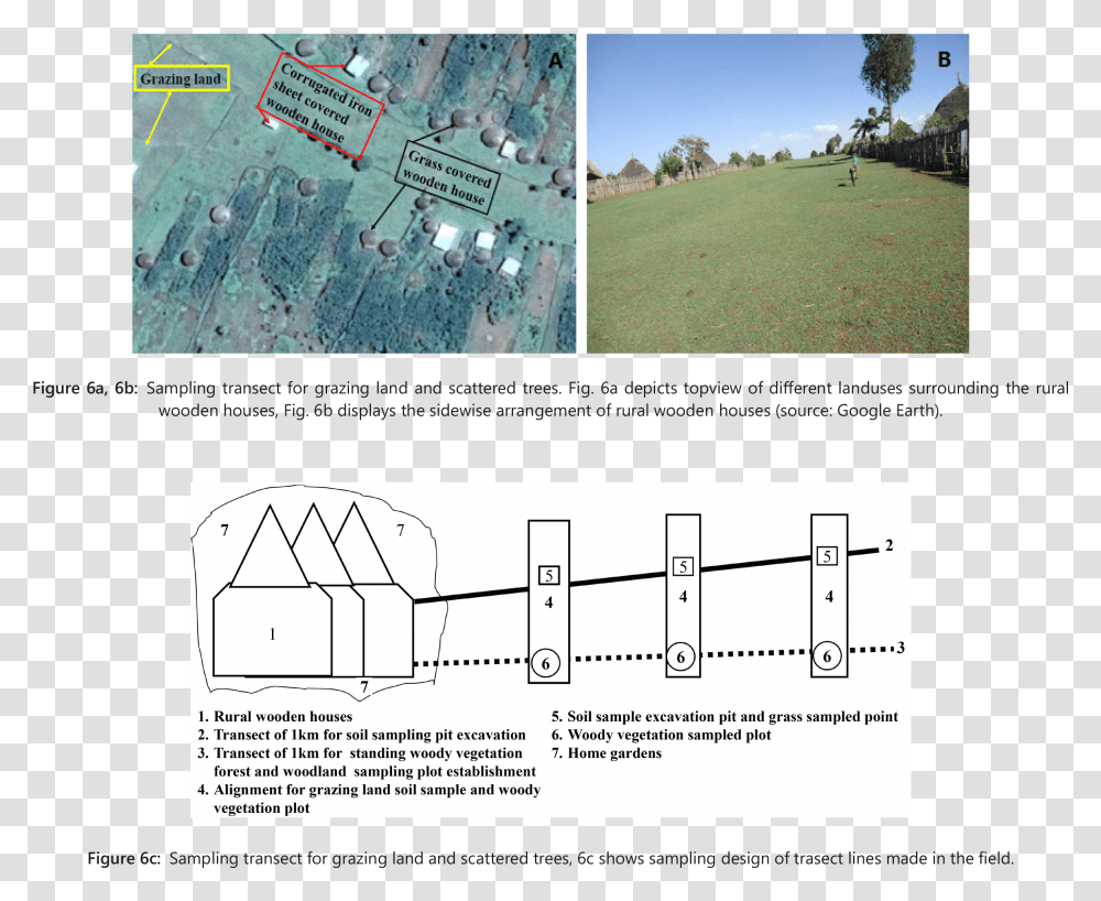 Carbon Storage Of Wooden Houses Trees And Grazing Land In Diagram, Person, Human, Sport, Sports Transparent Png
