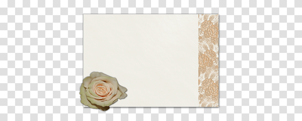 Card Technology, Rose, Flower, Plant Transparent Png