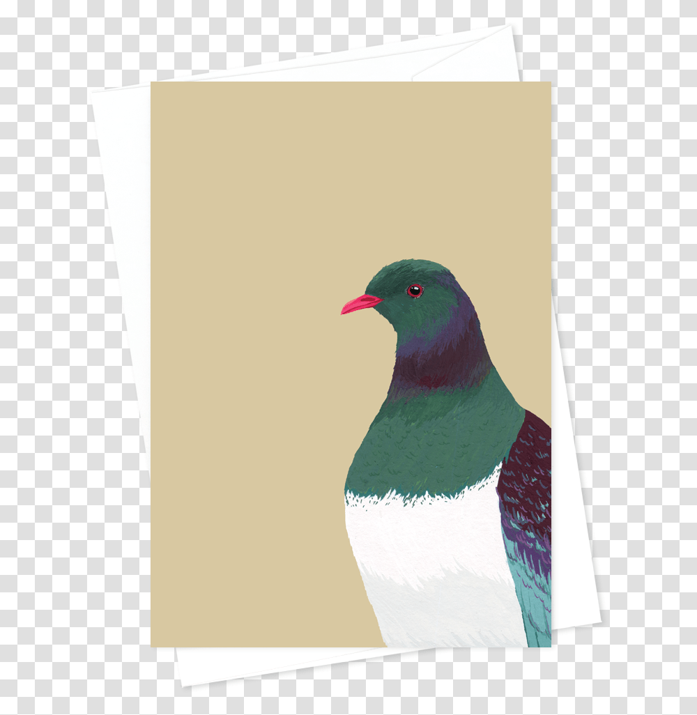 Card And Envelope Kereru Turkey, Bird, Animal, Pigeon, Dove Transparent Png