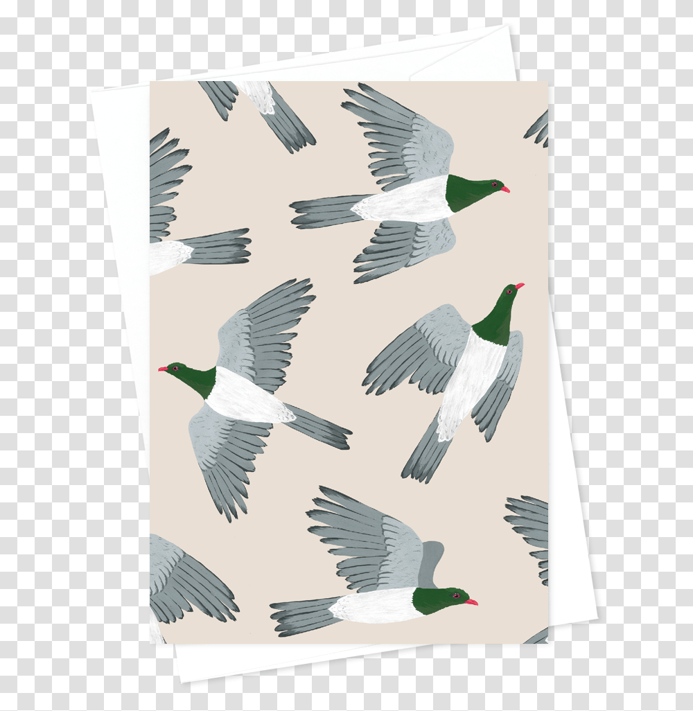 Card And Envelope Pattern Kereru Creative Arts, Bird, Animal, Dove, Pigeon Transparent Png