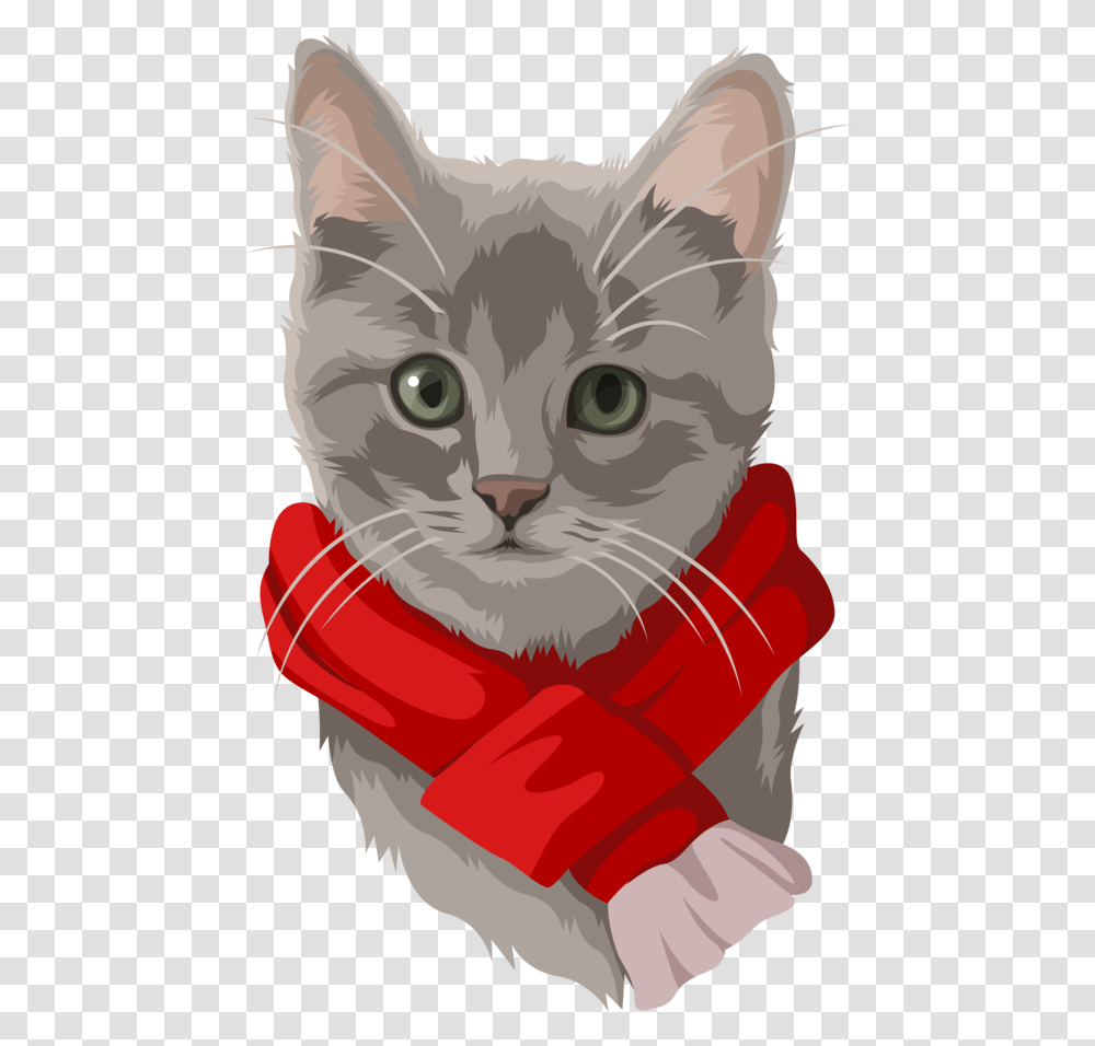 Card Gray Cat2 Kitten, Apparel, Pet, Animal Transparent Png